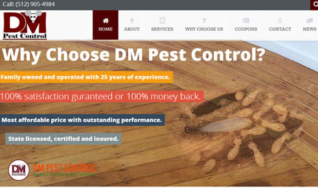 Dm Pest Control