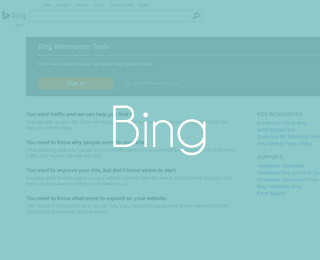 Bing (1)